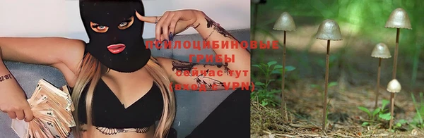 сатива Верхний Тагил
