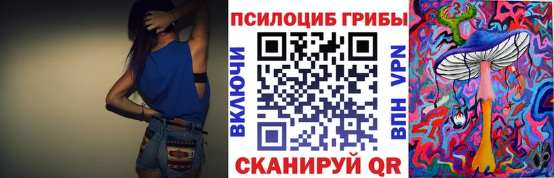 мега вход  Гурьевск  Псилоцибиновые грибы MAGIC MUSHROOMS 